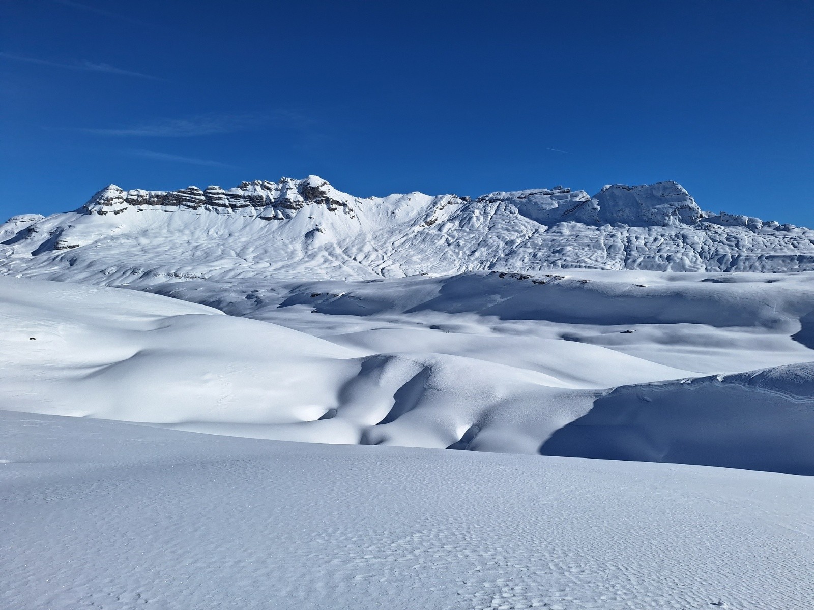 #7 Tête à l Tête à l'Ane, Anterne, Mitraille, Hippocampes