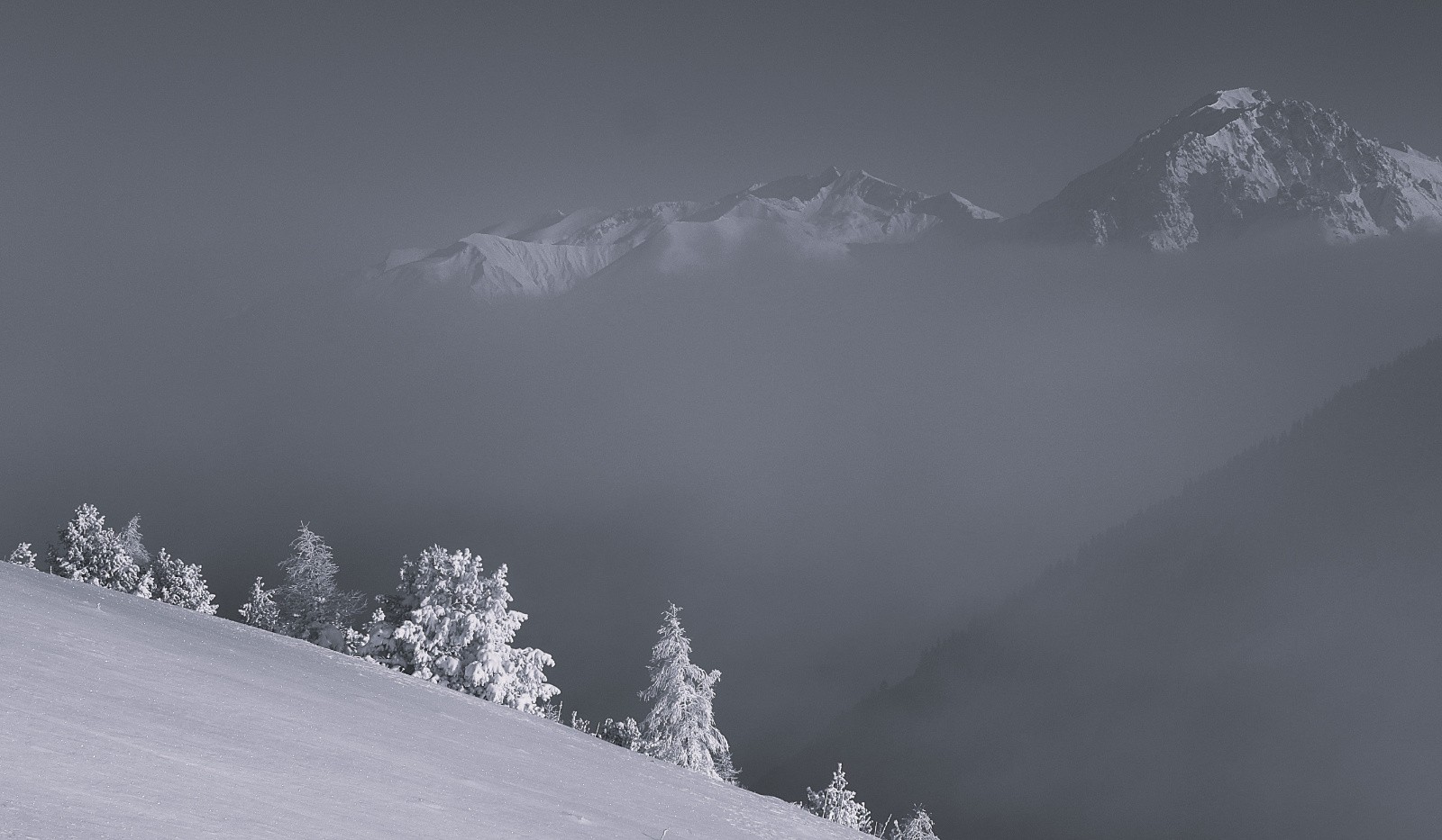 #2 Vers Rochail, Malhaubert, Confolens Vers Rochail, Malhaubert, Confolens