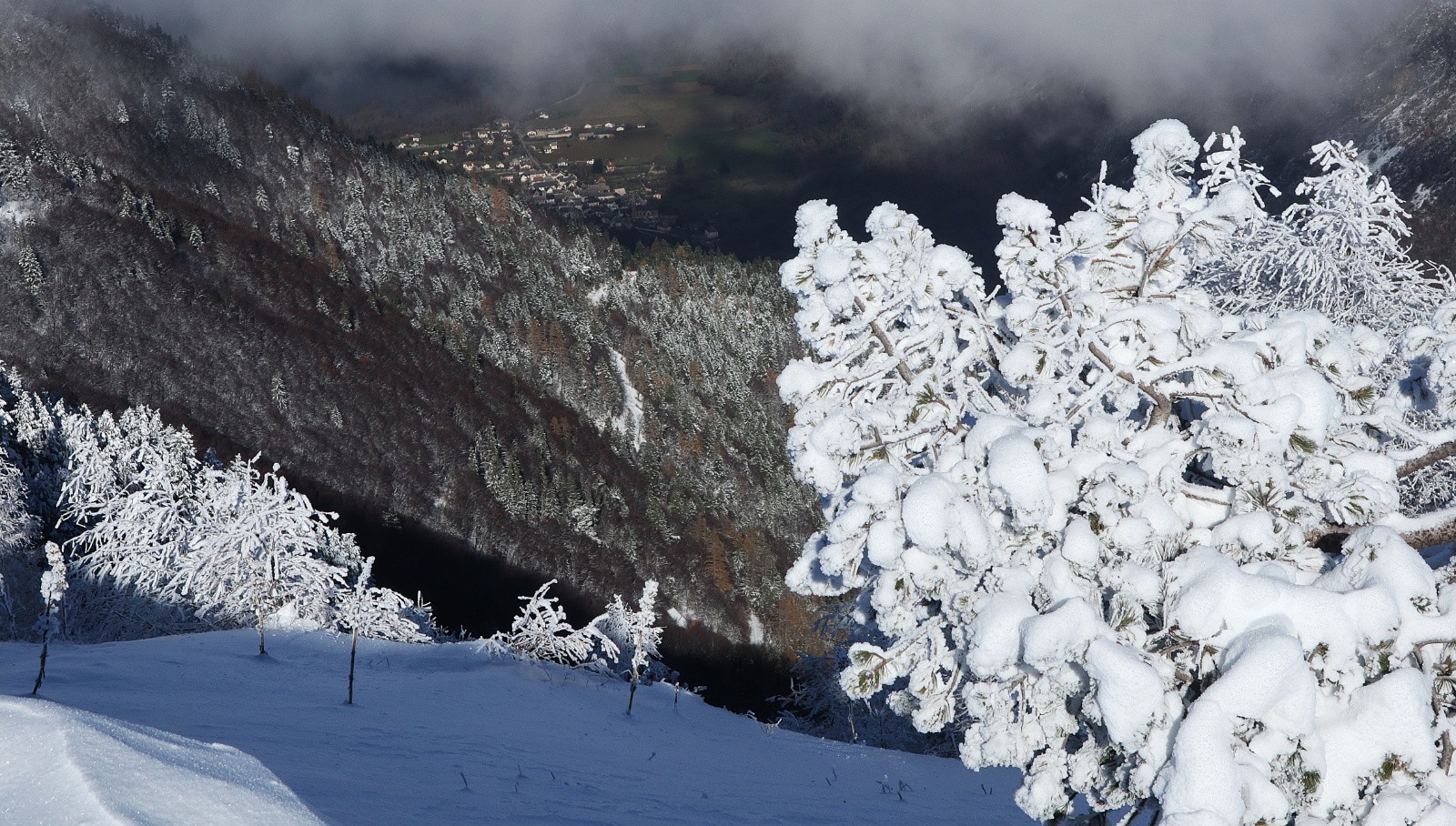 #11 Entraigues au soleil Entraigues au soleil