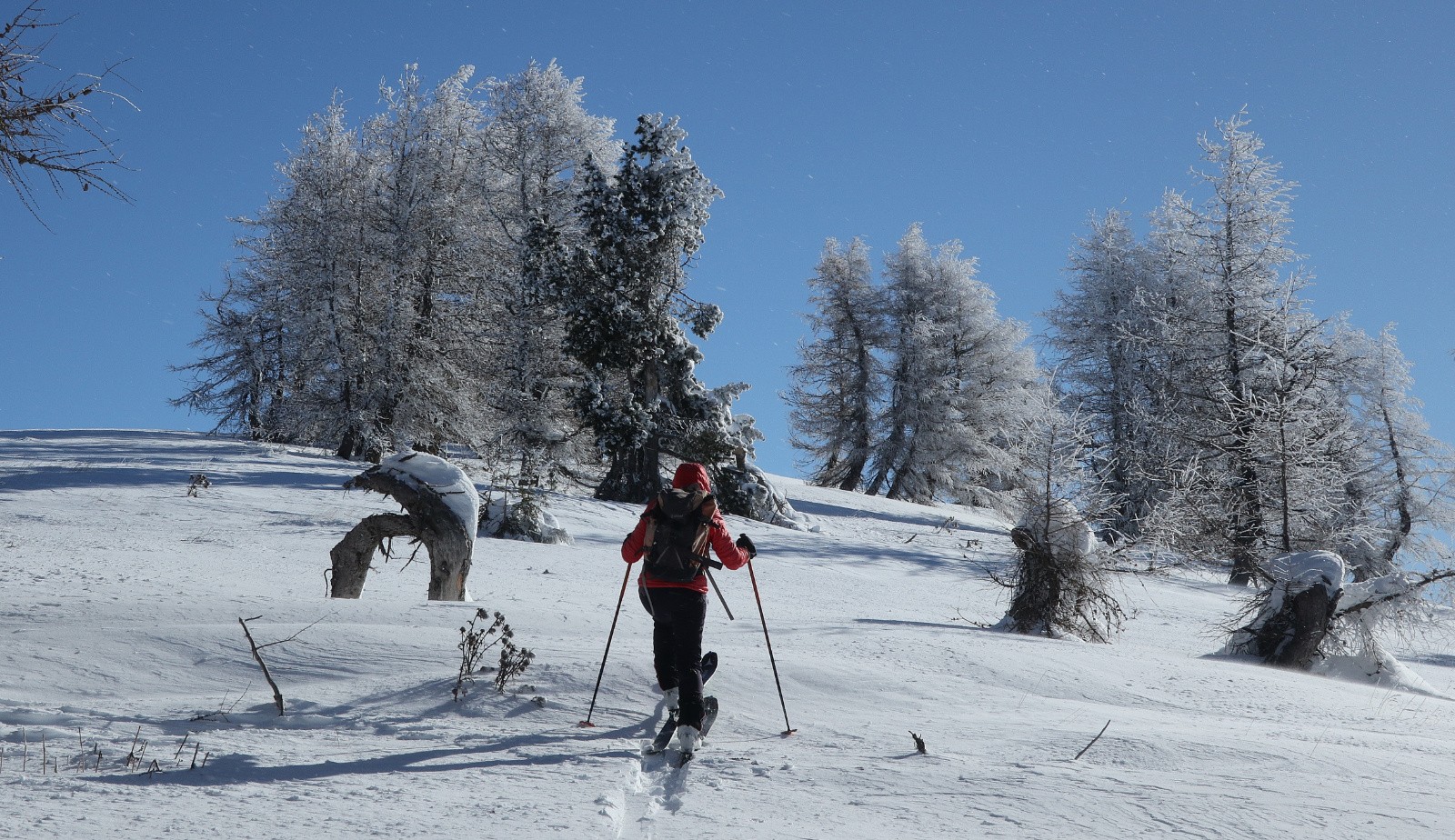 #8 Croupe NW de Côte Rouge Croupe NW de Côte Rouge