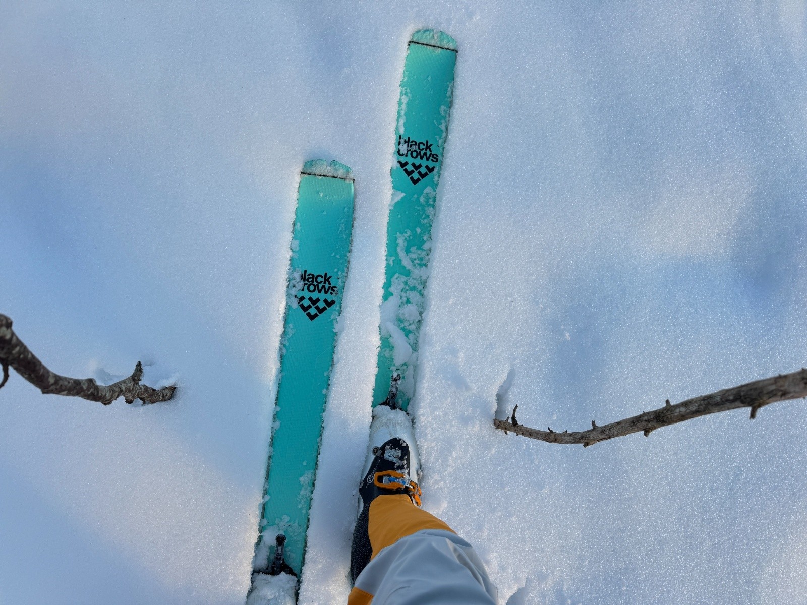 ce qui ne va pas, Monsieur Dusse...