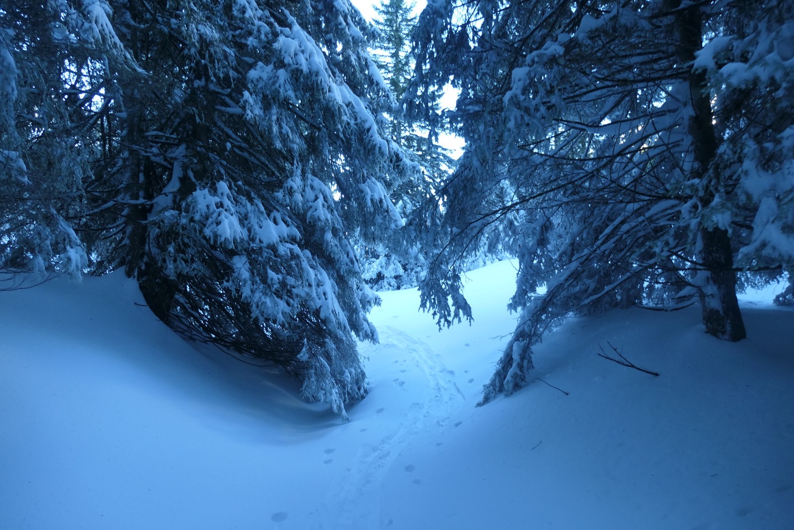 #7 La porte d La porte d'entrée