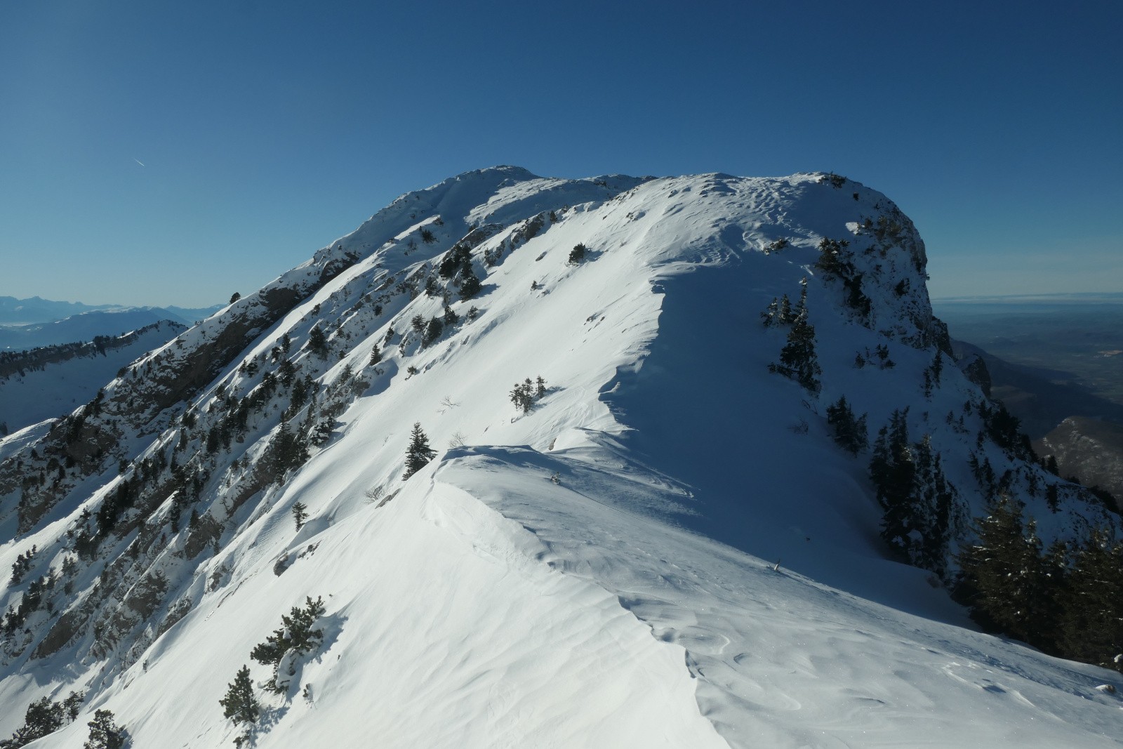 #11 Grande Sure Grande Sure