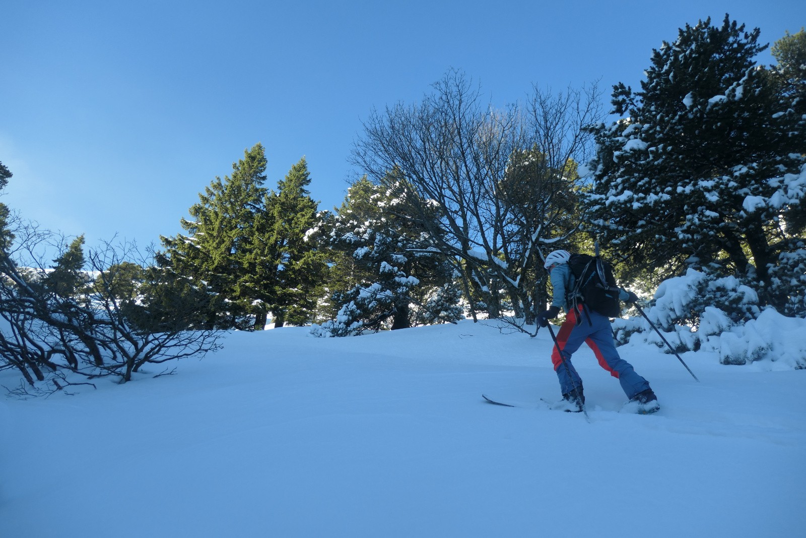 #8 Glad Glad' part à la trace