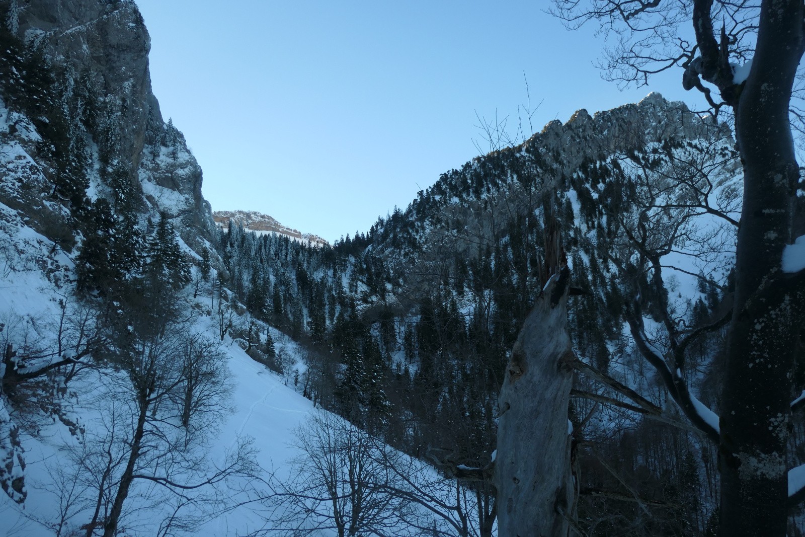 #3 Cul de Lampe Cul de Lampe