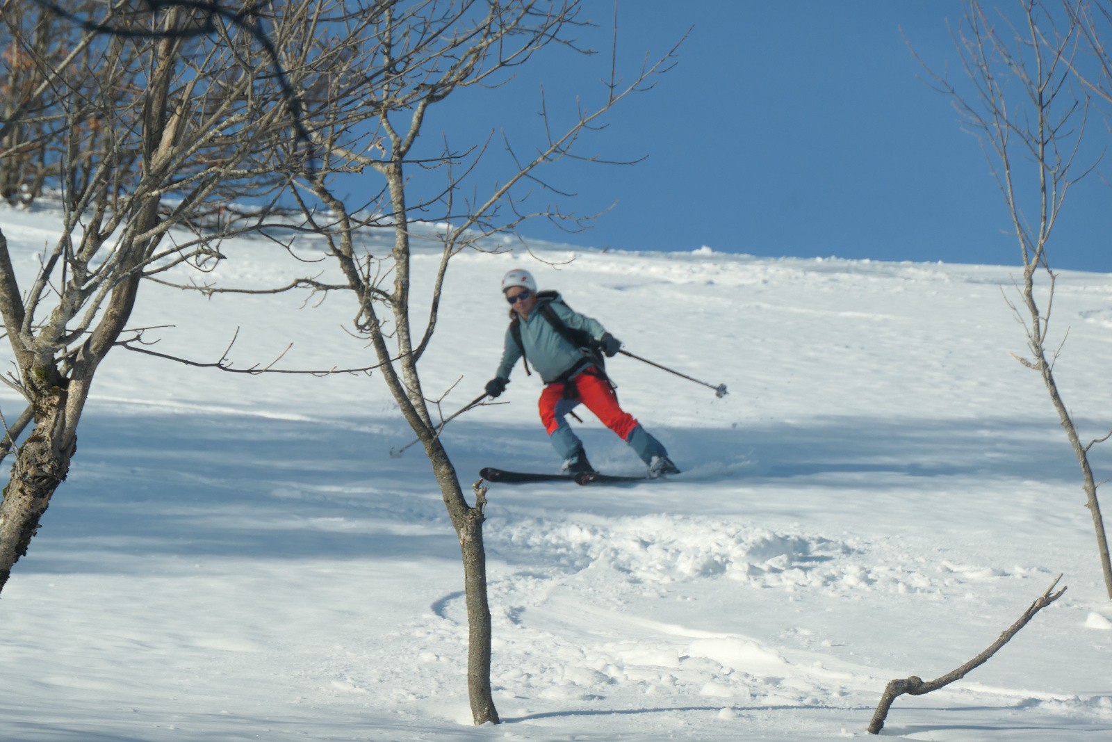 #33 Un peu de ski à Vache Un peu de ski à Vache