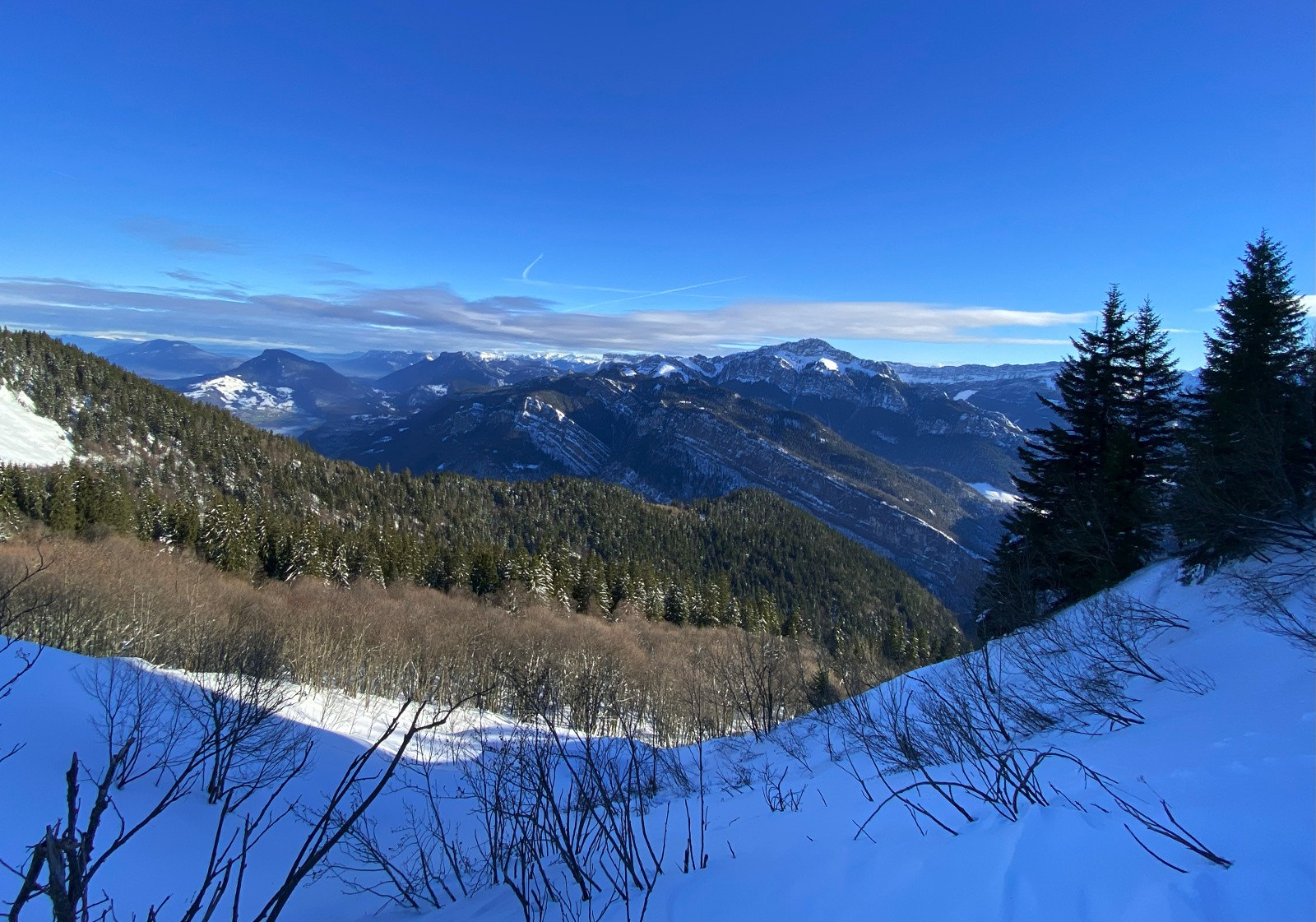 En arrivant sous la petite vache 