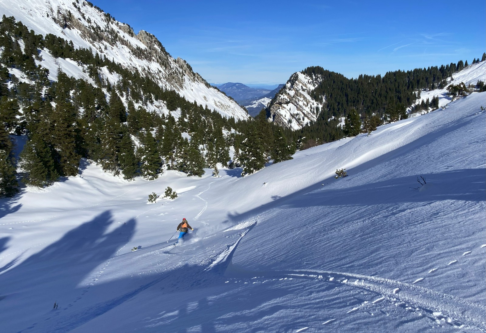 Bon partout où ça n'a pas vu le soleil 
