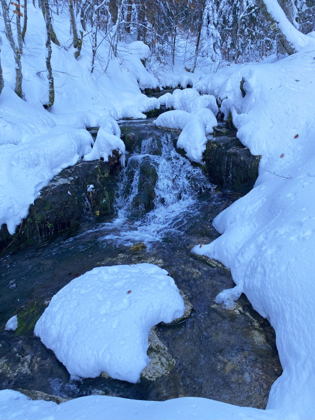 Ruisseau entre hiver et printemps, pour les derniers jours d'automne