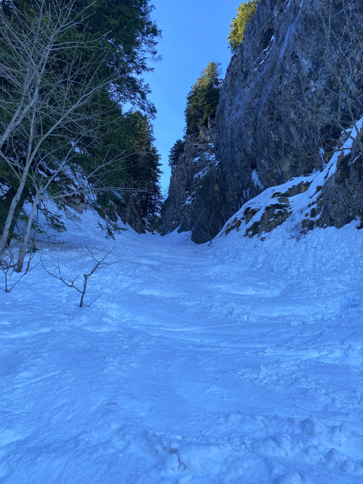 Etat du pas de la Biche 