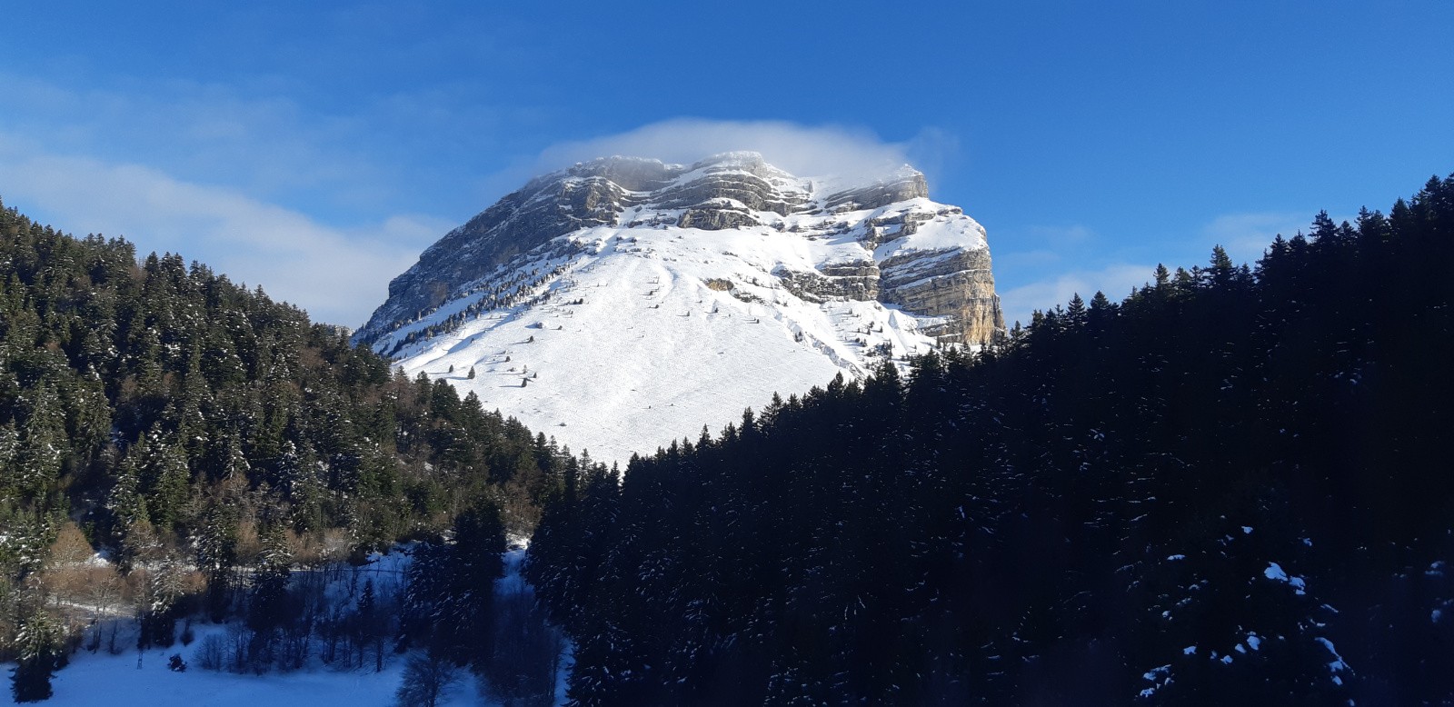 Dent du matin