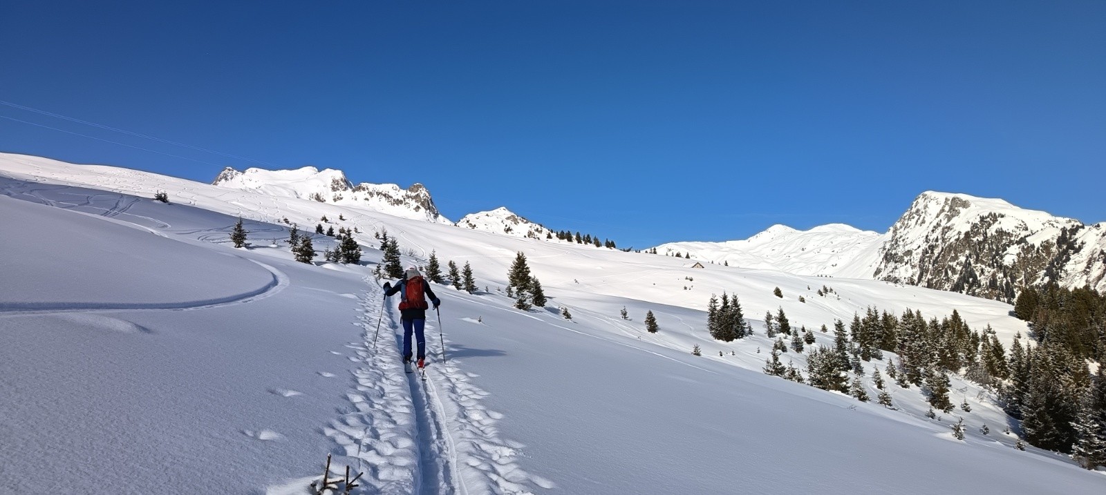 En montant au col du Loup 