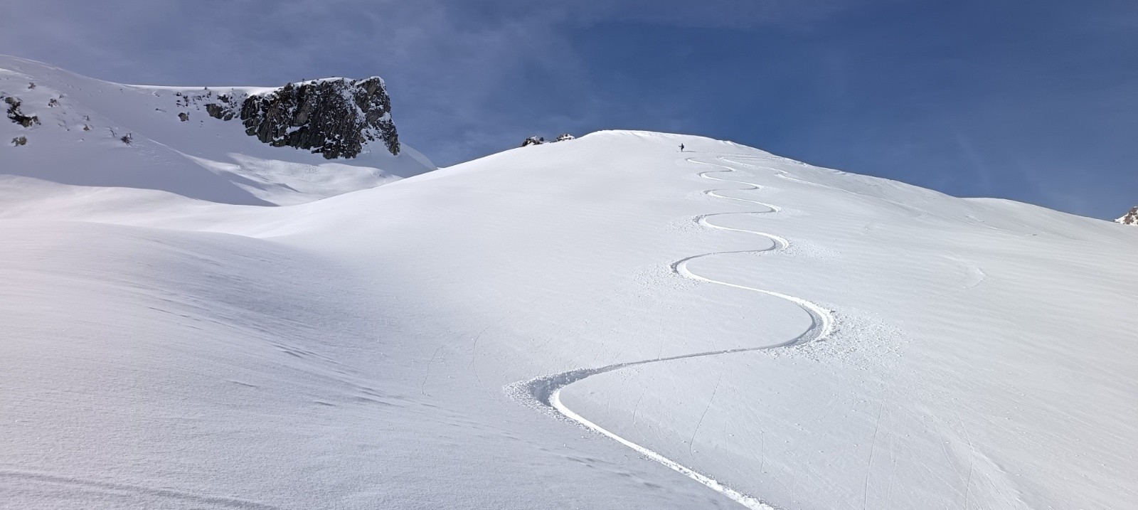 😋 selon les expositions 