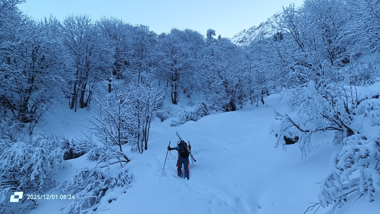 #2 Glad Glad' préfère monter à pieds