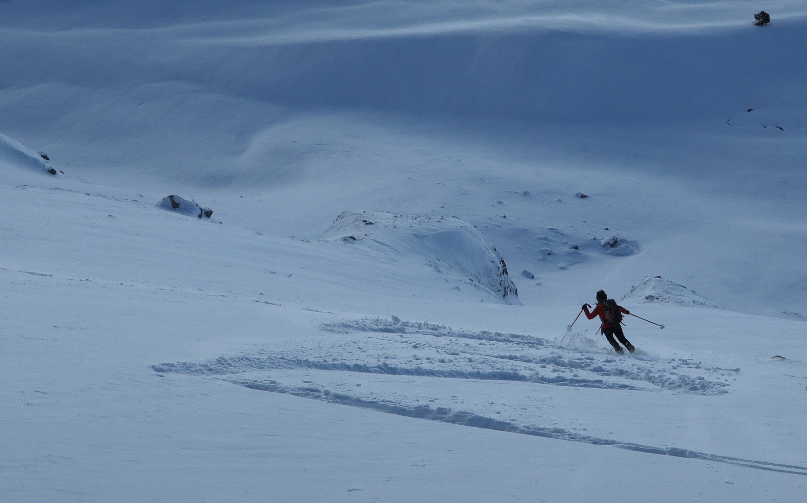 Crête du Vallon, versant Nord&nbsp;&nbsp;&nbsp;
