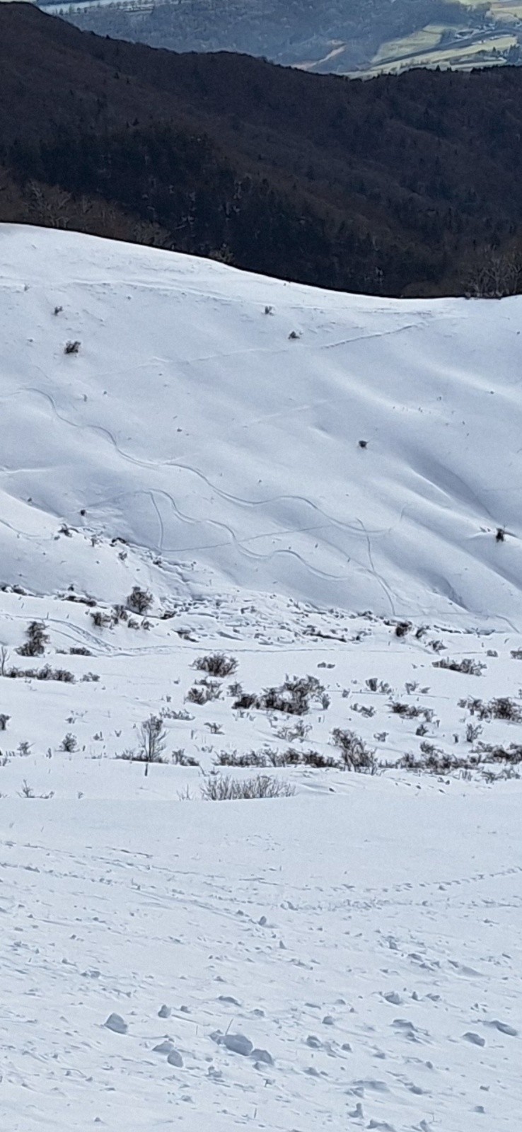 mes 2 passages en Sud