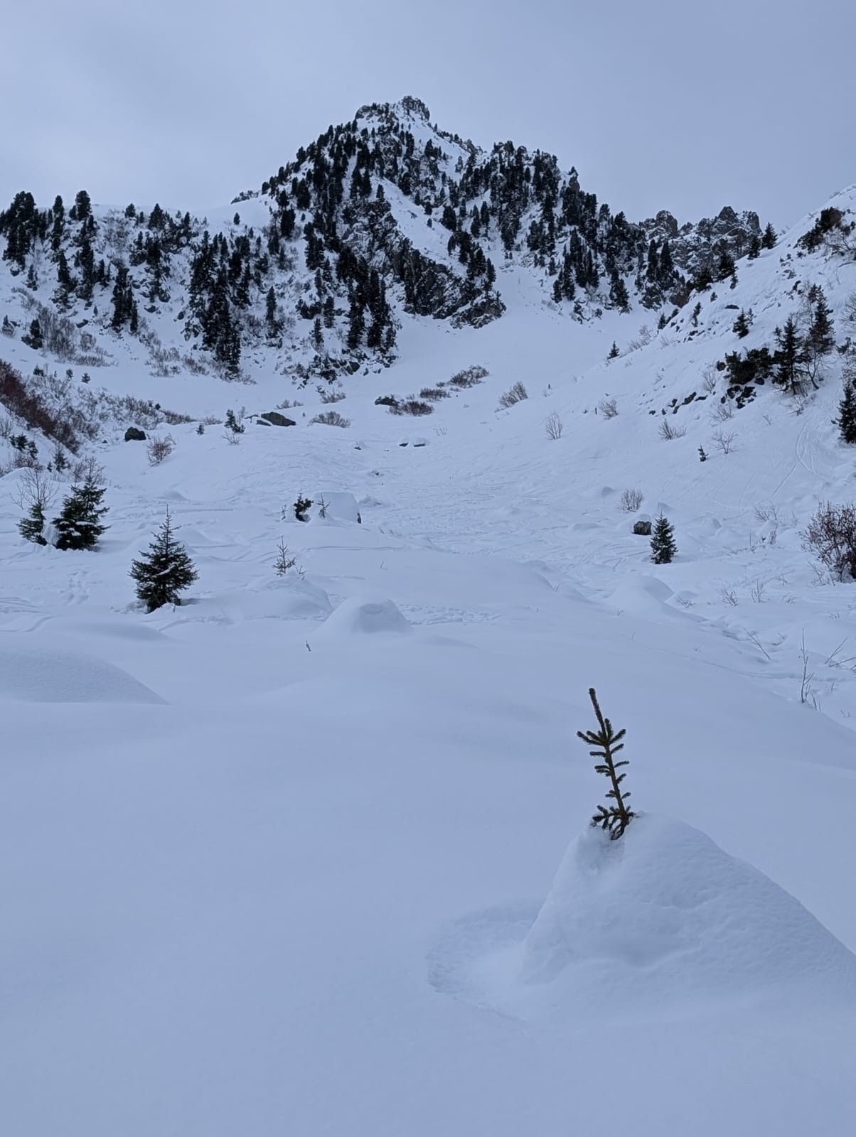 #8 Bel enneigement même en bas de la combe Bel enneigement même en bas de la combe
