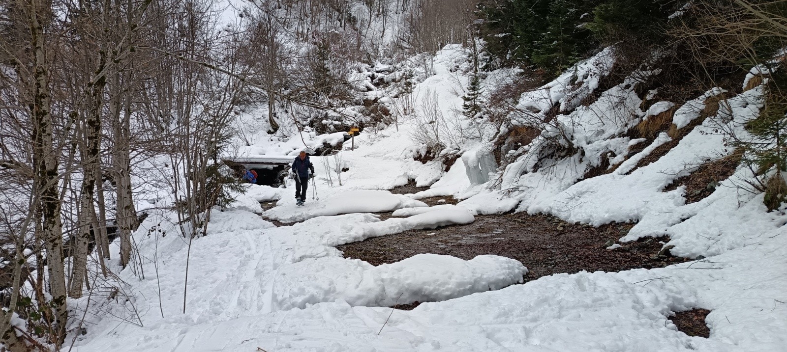 #9 Jonction de la combe et de la piste forestière Jonction de la combe et de la piste forestière