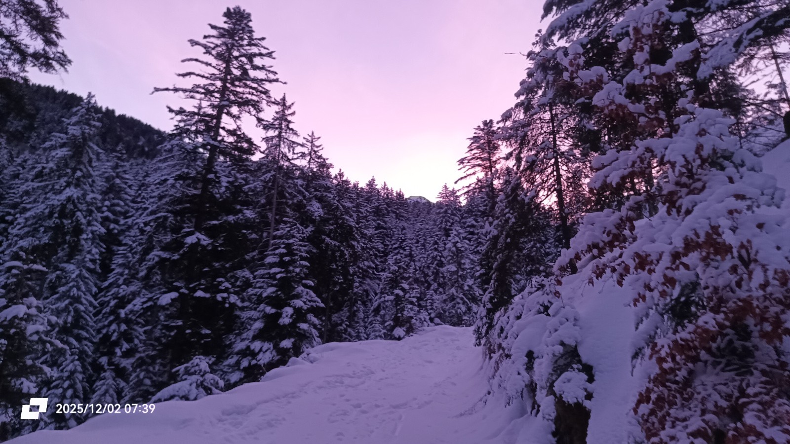 #1 Lever du jour Lever du jour