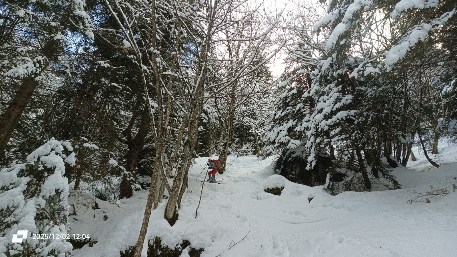 #21 Retour en forêt Retour en forêt