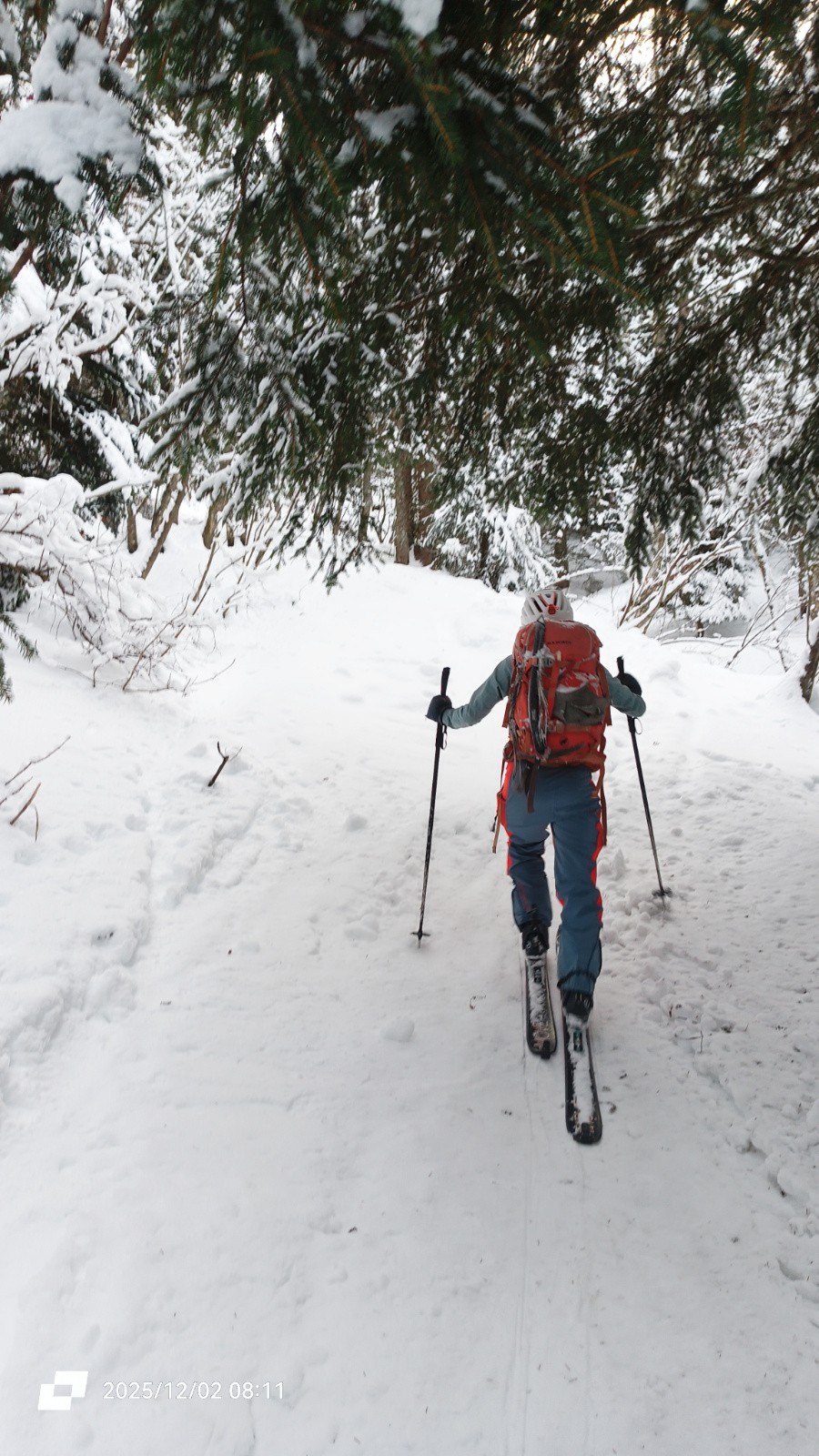 #2 En forêt En forêt