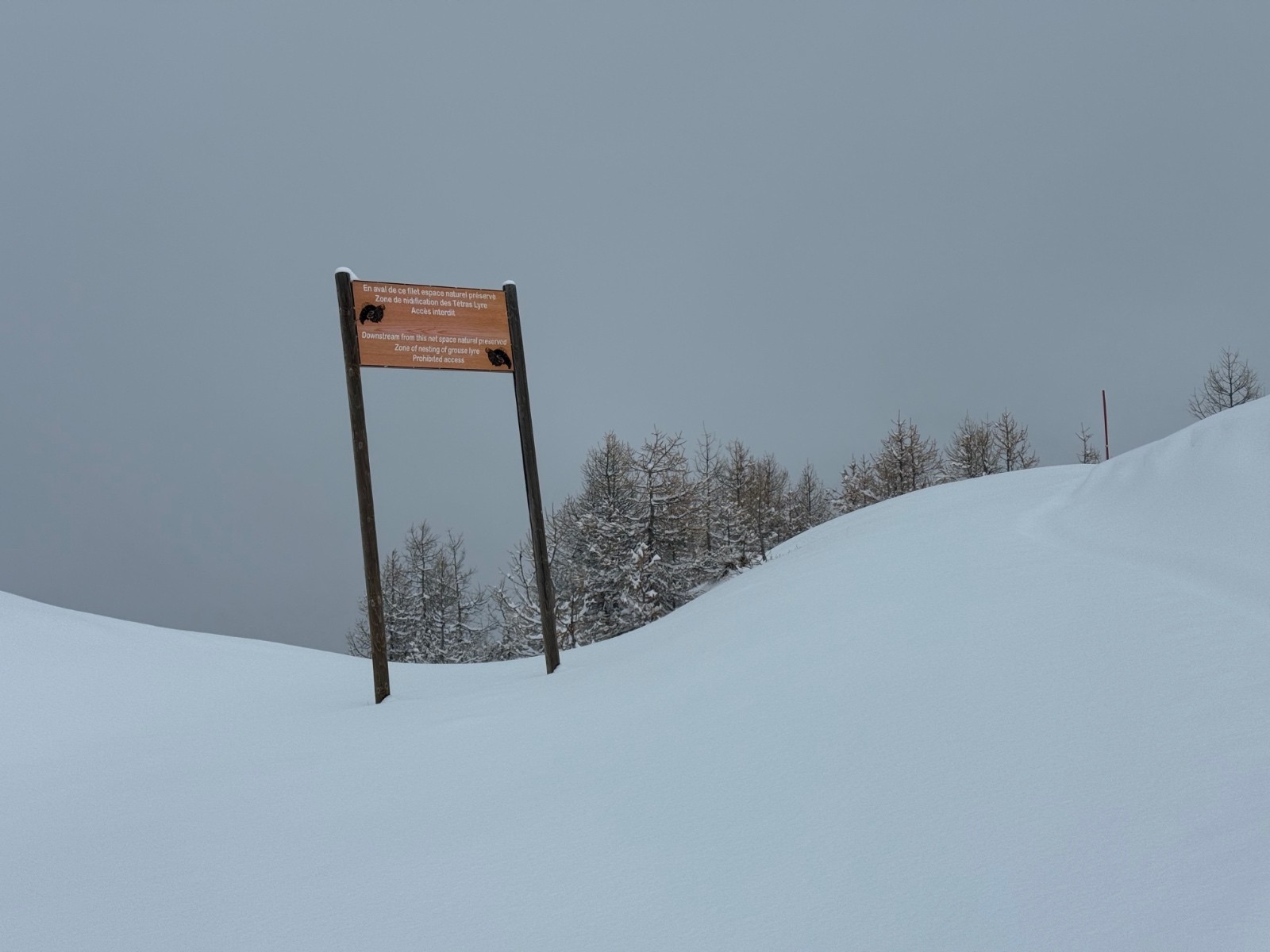 Les filets ne sont pas là 🤔🤔🤔🤔