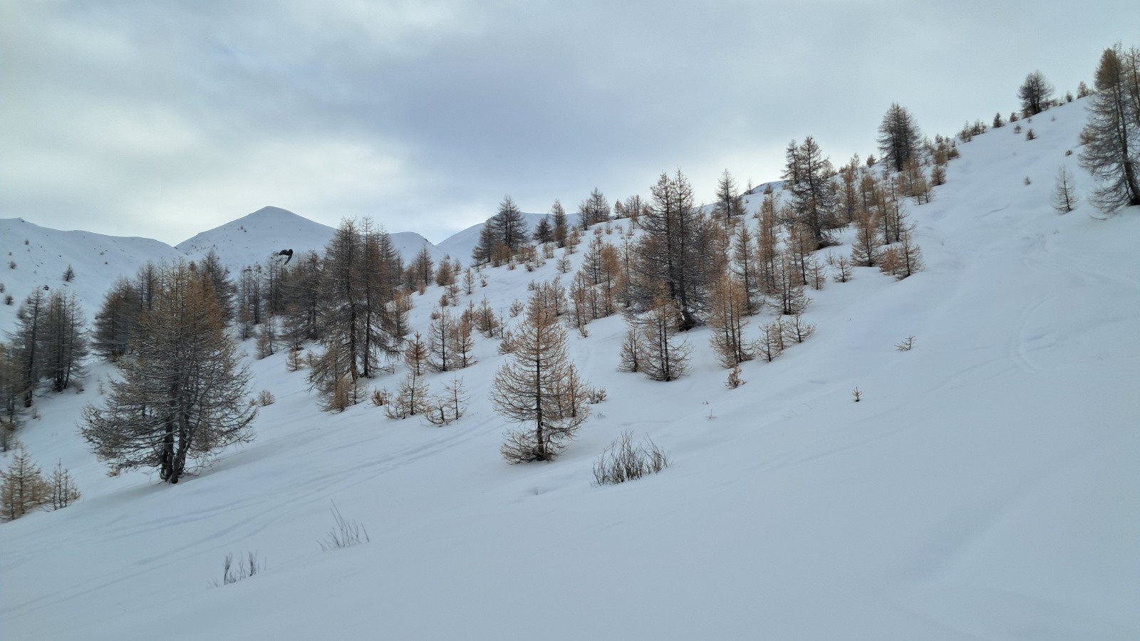 encore une belle luminosité 