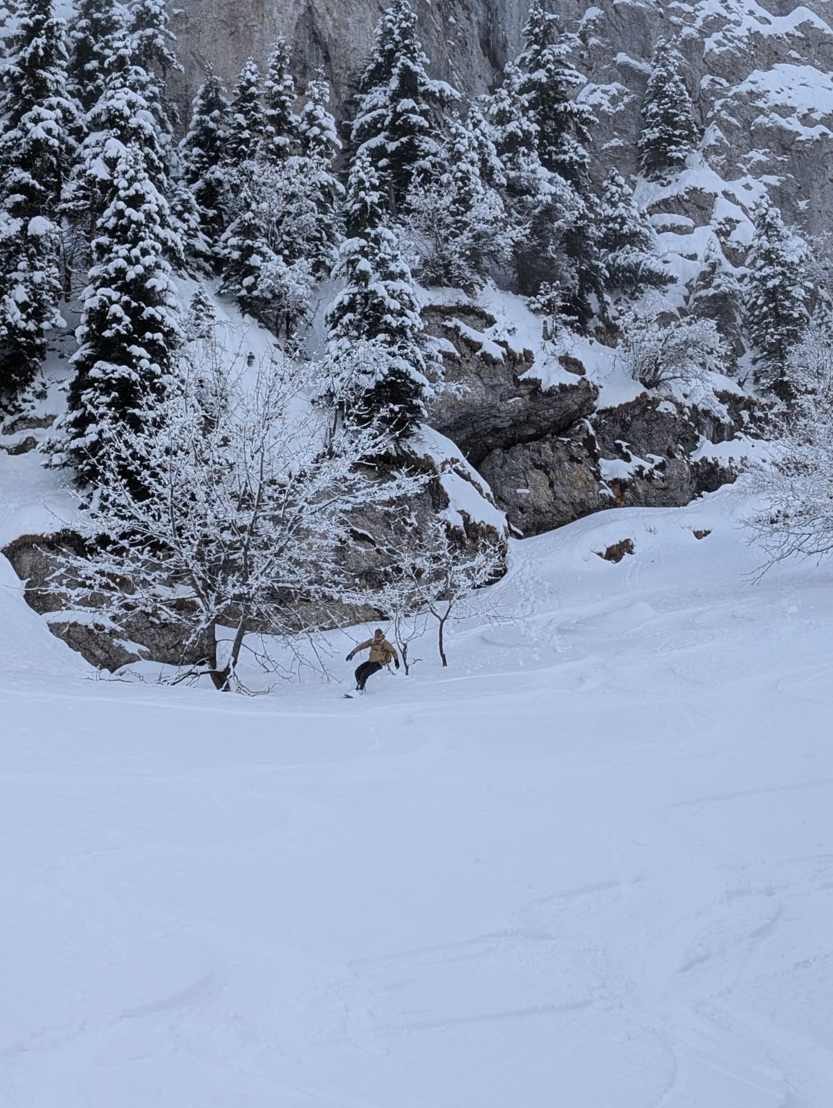  Combe sous Chamechine, bien bonne comme souvent 