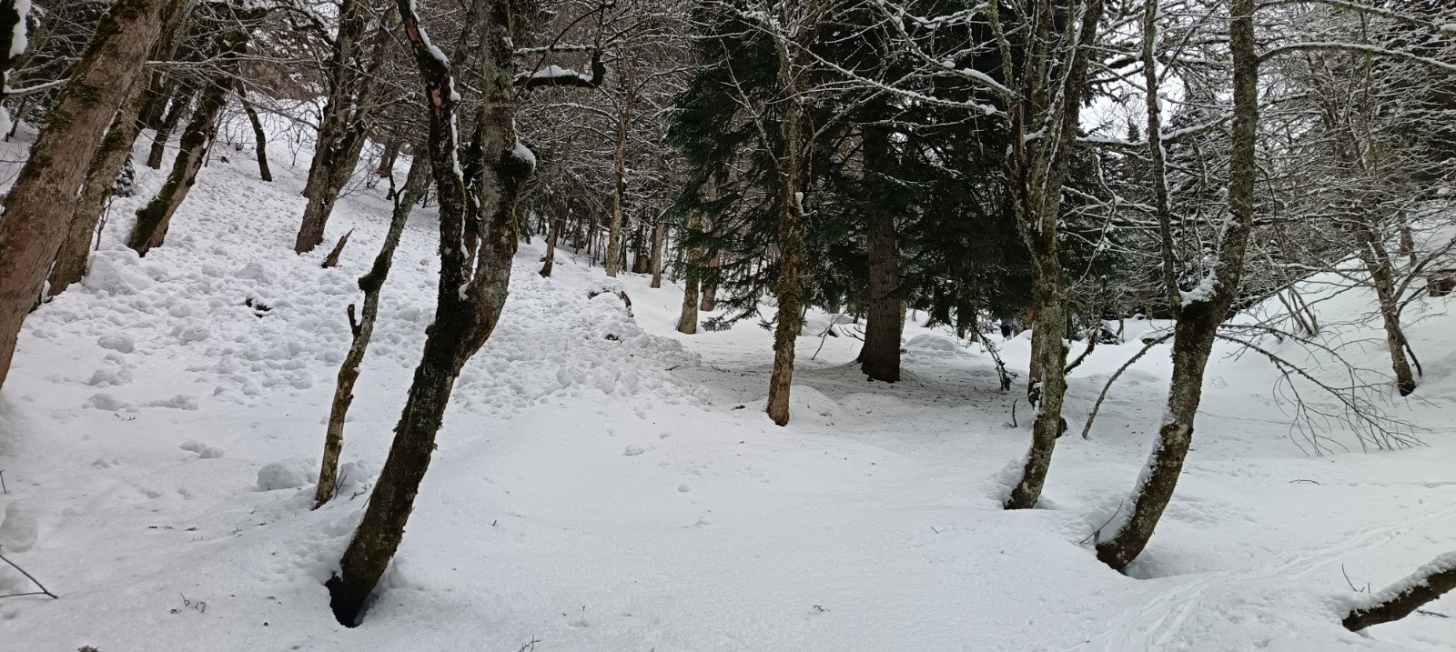  Coulée de neige lourde au dessus de la fontaine de l'Oursière 