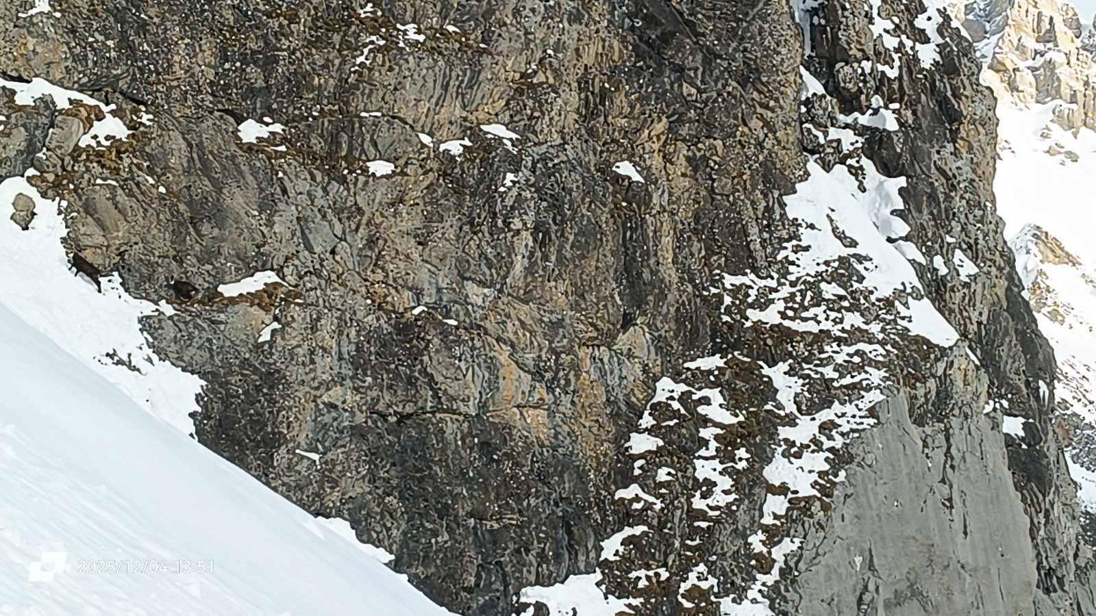 #3 Nos amis sont là ! Nos amis sont là !