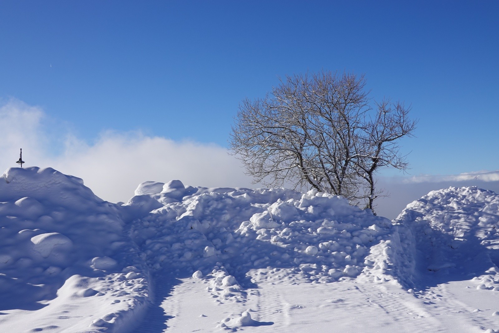 #14 Snowfarming Snowfarming