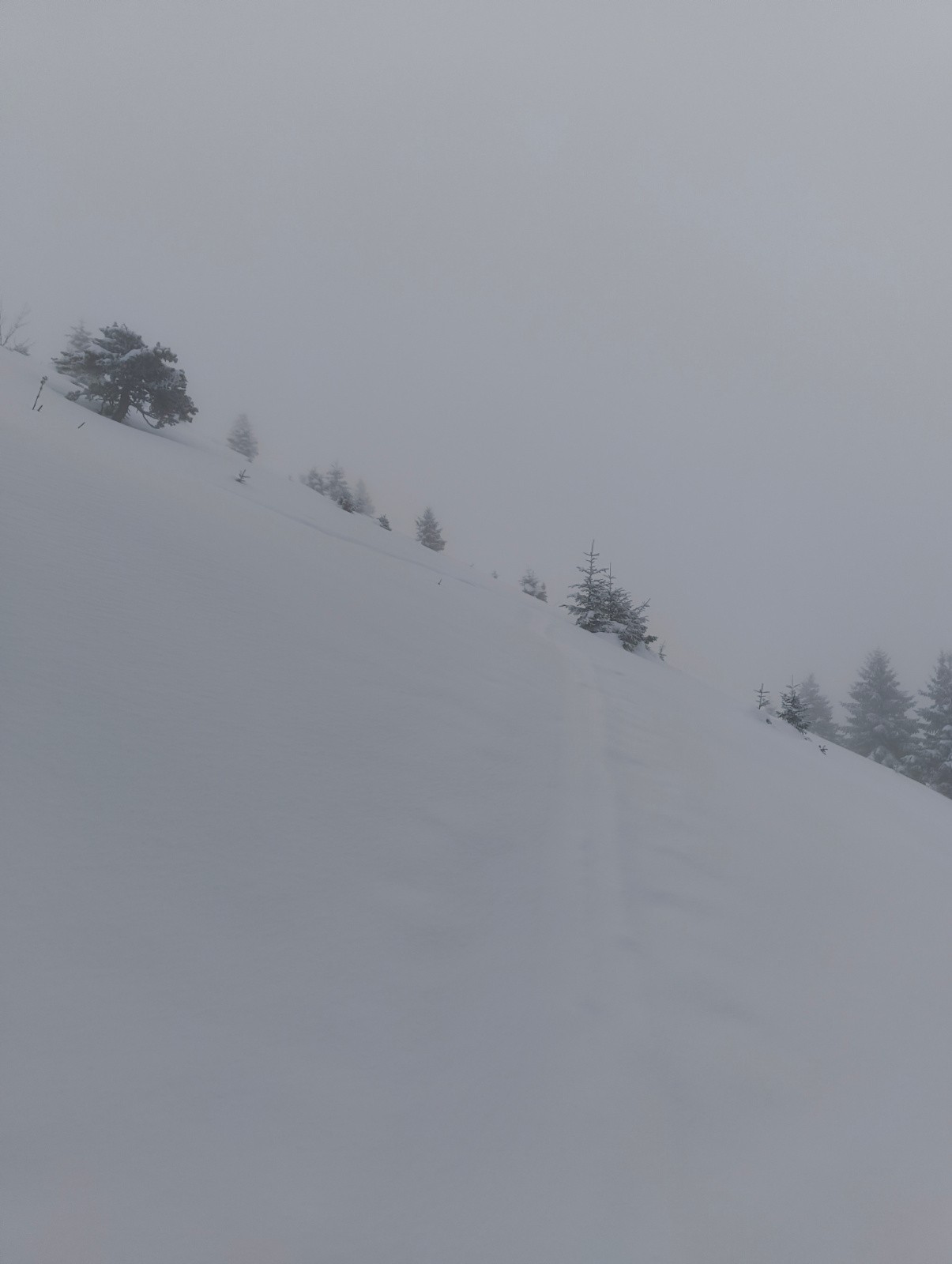 Une sortie vraiment photogénique
