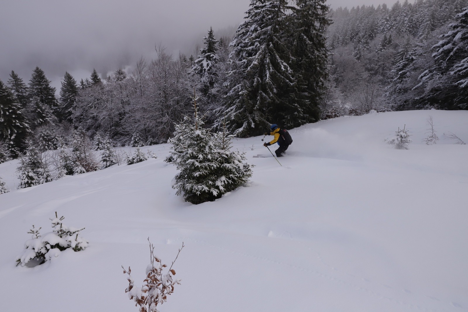 #2 Descente 1 Téléski Descente 1 Téléski