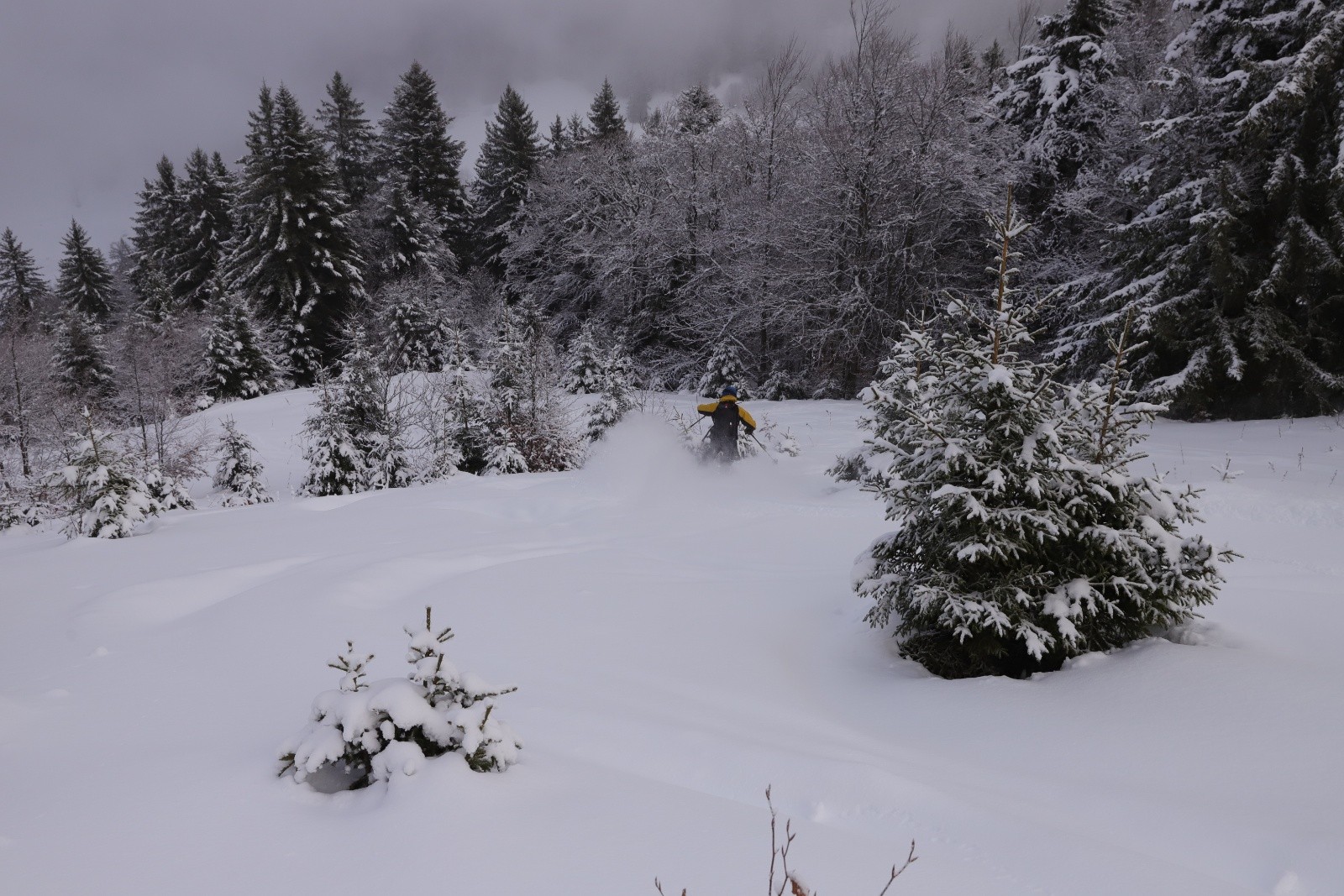 #3 Descente 1 Téléski Descente 1 Téléski