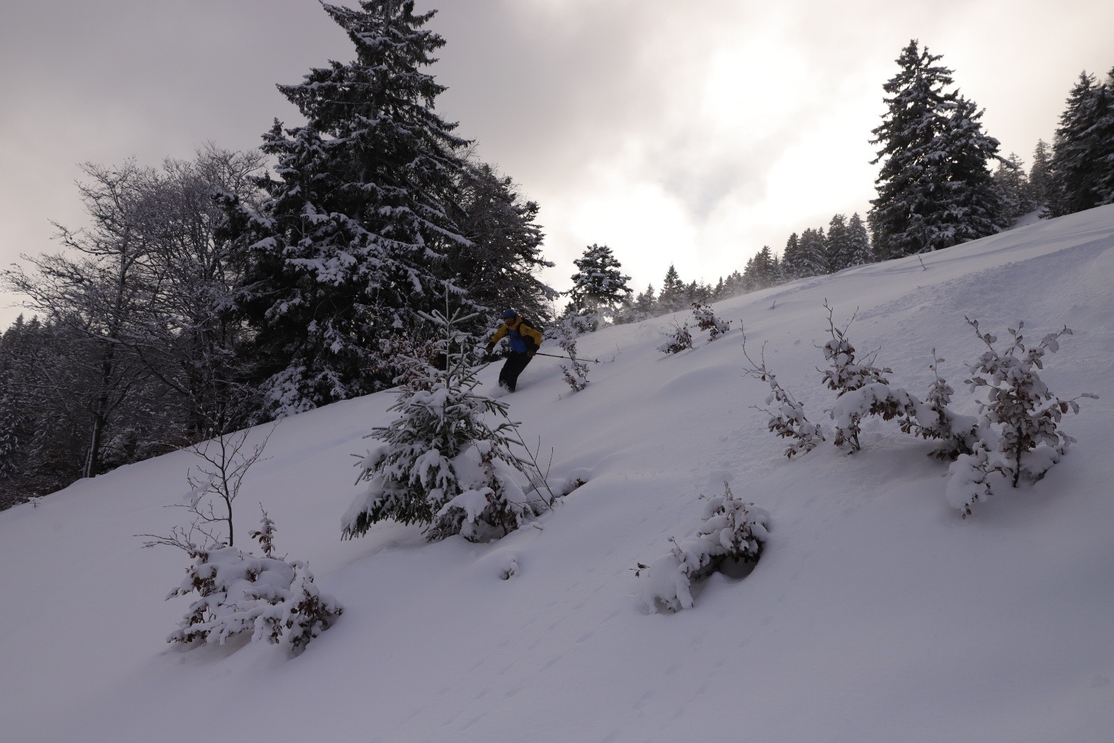 #1 Descente 1 Téléski Descente 1 Téléski