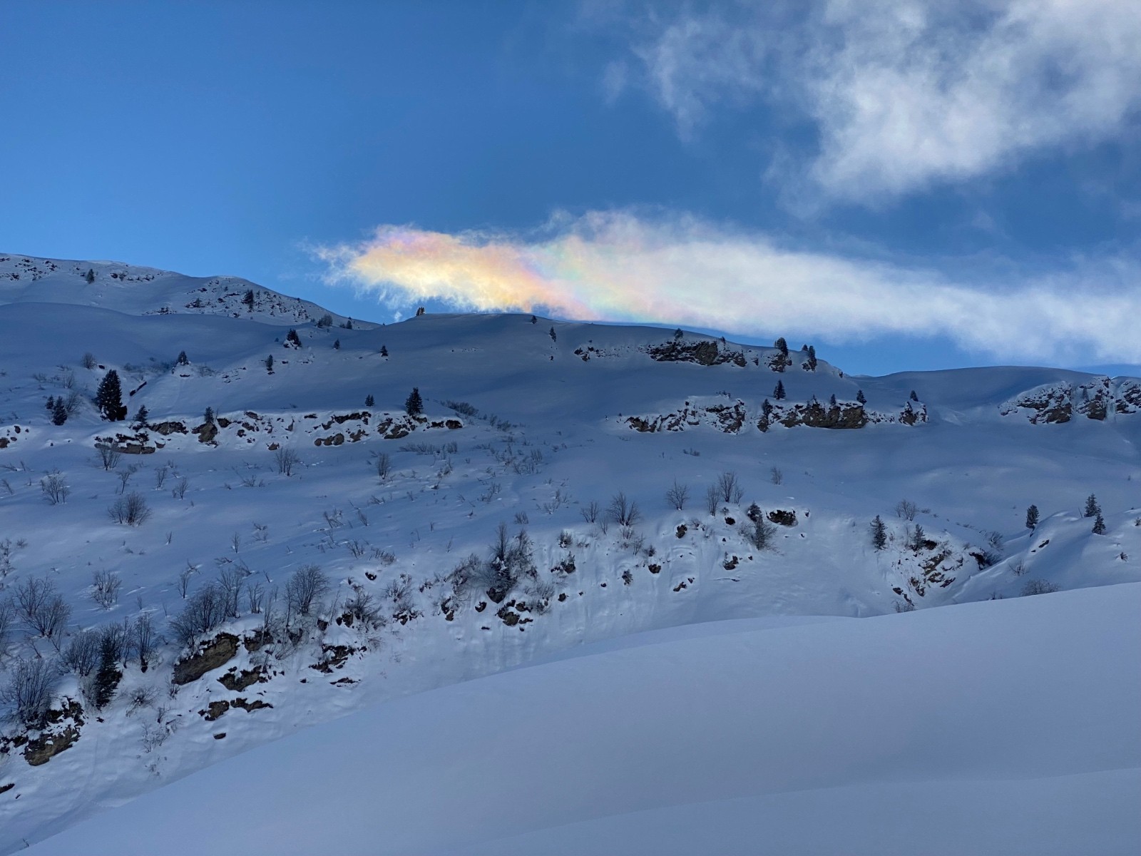 #6 Feu d’artifice Feu d’artifice