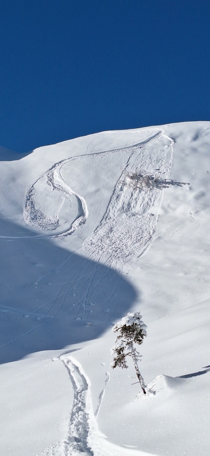 #7 Plaque déclenchée Plaque déclenchée