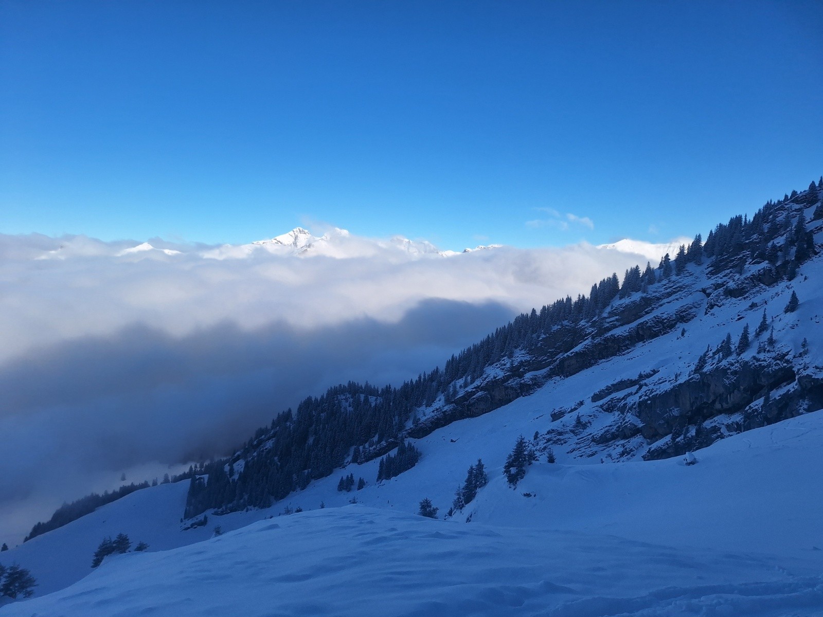 #4 Montée dans Tête Pelouse Montée dans Tête Pelouse