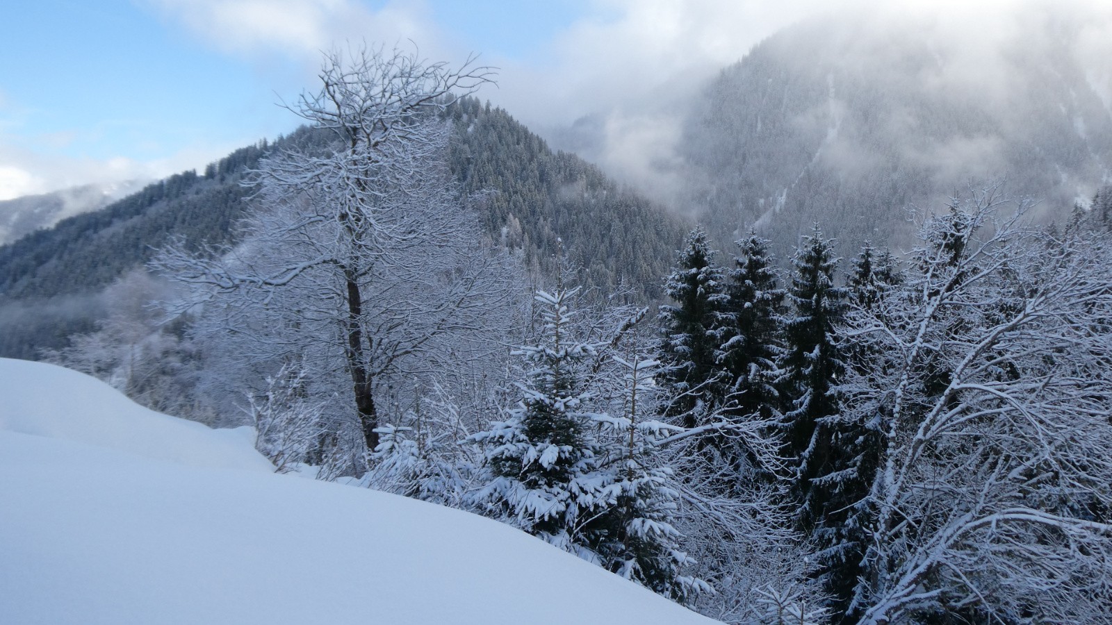 J2 Un peu de bleu inespéré 