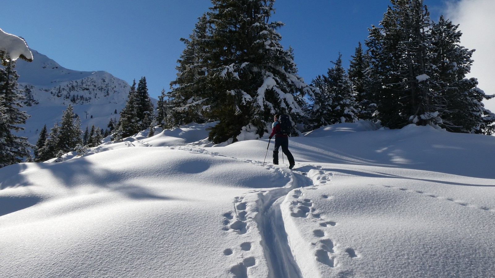  J2 sur la jolie crête parmi les arolles