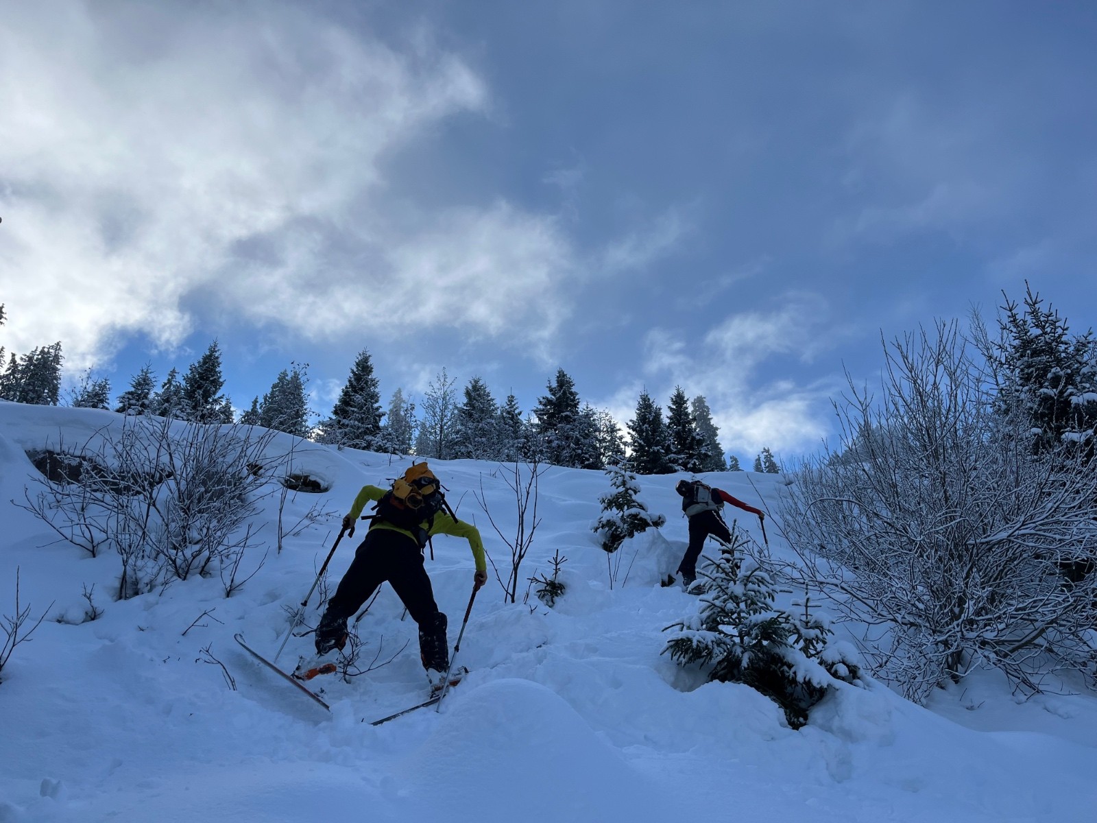 À la montée j ai croisé 2 canards sauvages…