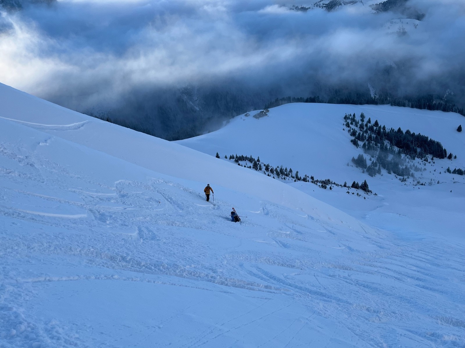  … qu il finit pas y goûter de plus prêt 😁