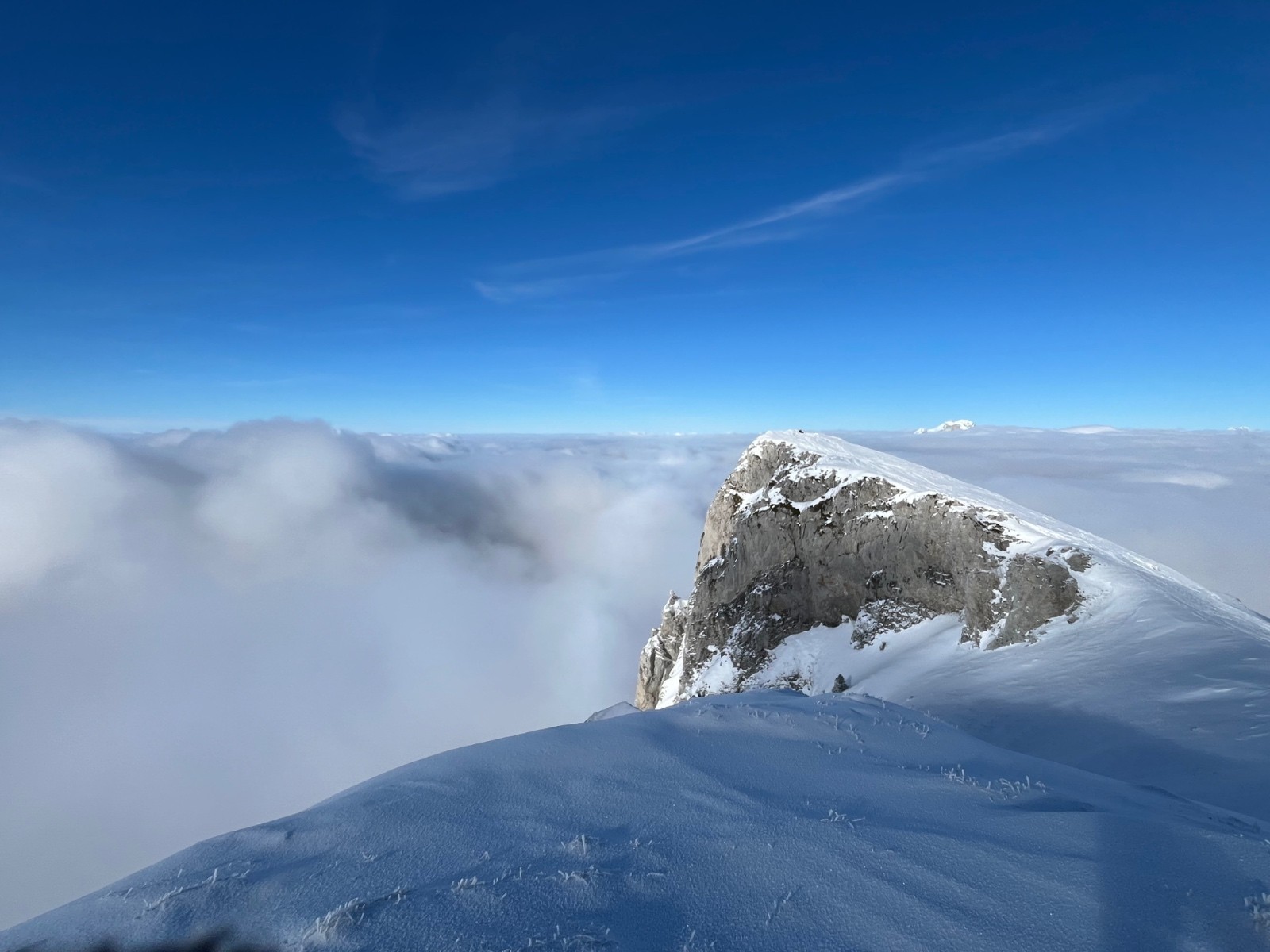  Petite Sambuy emergeante