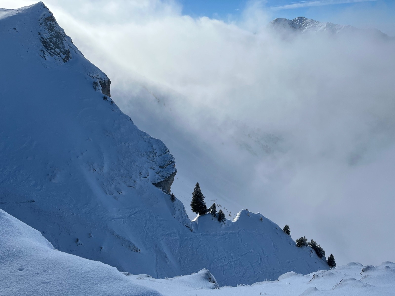  Solitaire de Linguale