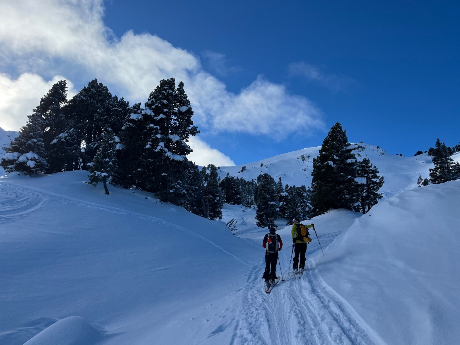  En avant pour la Petite Sambuy