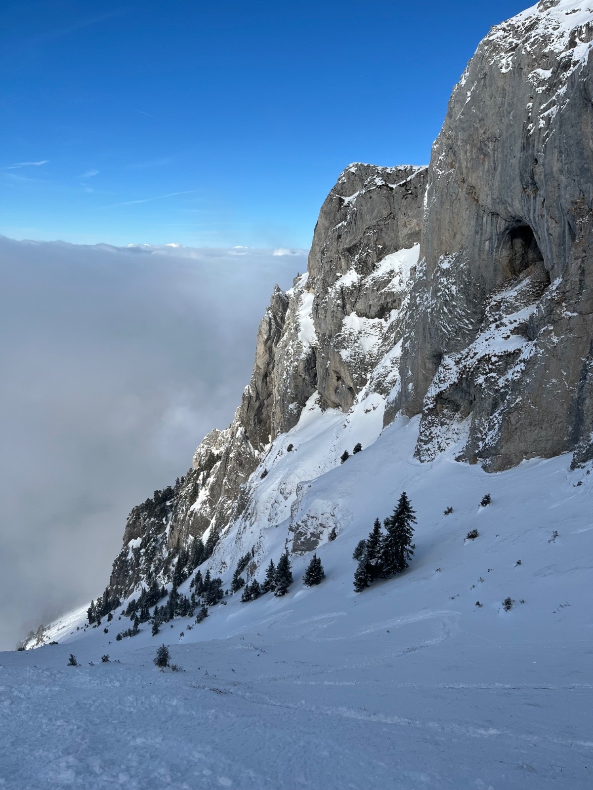  Ambiance sauvage dans la Linguale
