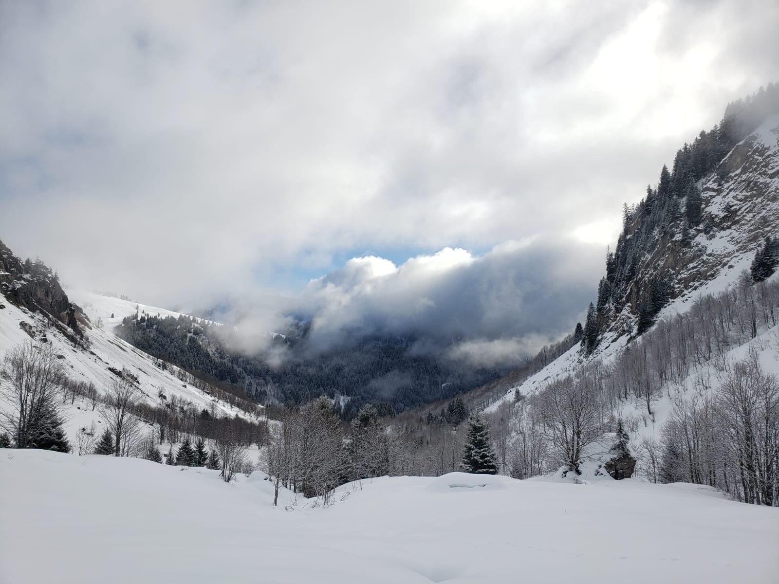 #2 Vers le Foron, en montant Vers le Foron, en montant