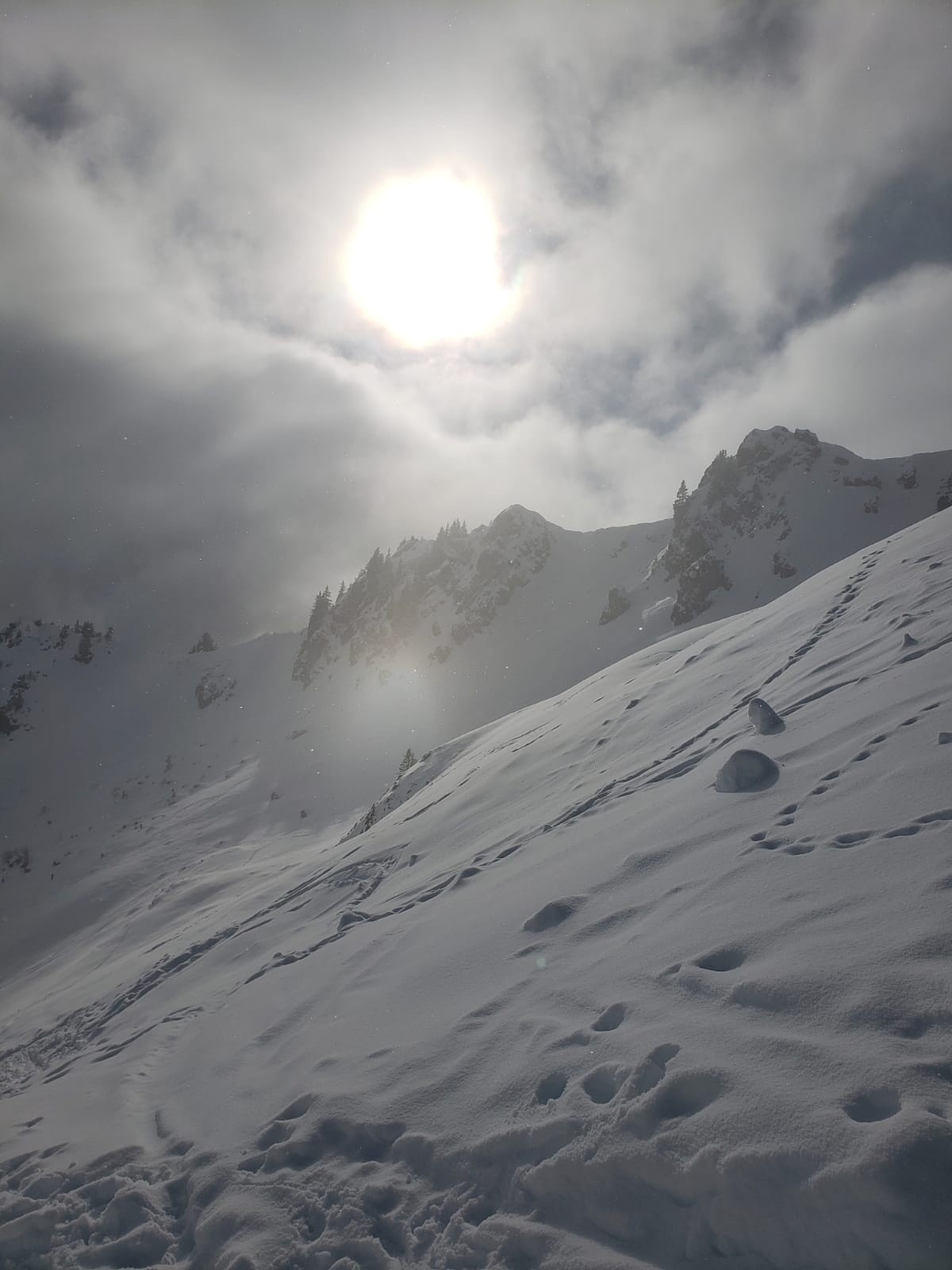 #3 Vers la crête entre col de Chalune et col de la Bolire, en montant Vers la crête entre col de Chalune et col de la Bolire, en montant