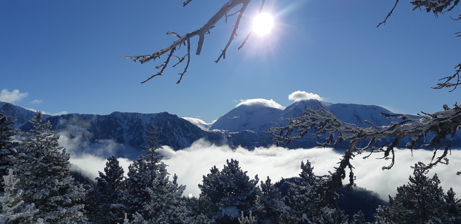 #1 Ambiance matinale Ambiance matinale