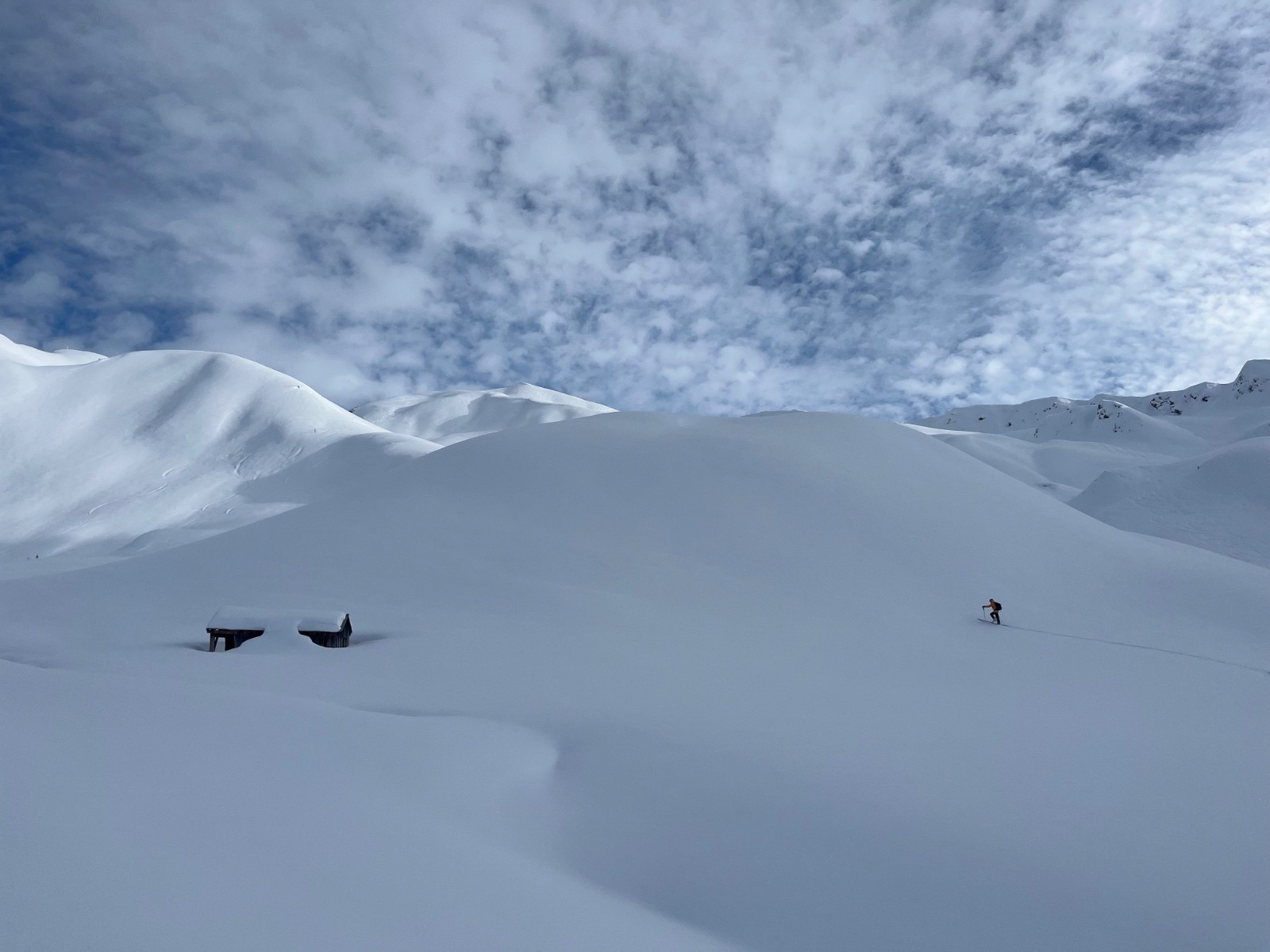  Alone in the dark… 